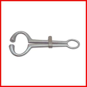 Bull Holder