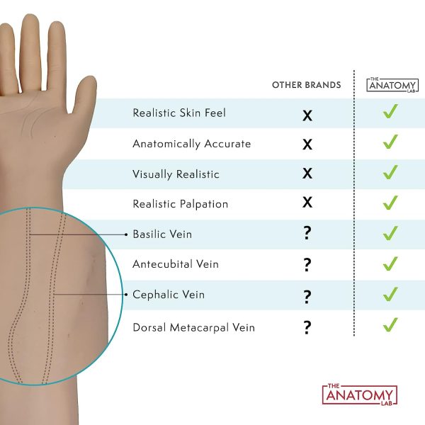 Anatomy Lab Premium IV and Venipuncture Training Kit, Practice Arm for Venipuncture Skills, Phlebotomy Practice, Clinical Nursing Training, 25+ Piece Kit, Durable & Realistic with 1 Year Warranty - Image 6