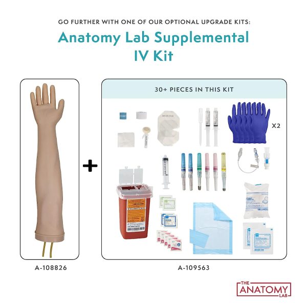 Anatomy Lab Premium IV and Venipuncture Training Kit, Practice Arm for Venipuncture Skills, Phlebotomy Practice, Clinical Nursing Training, 25+ Piece Kit, Durable & Realistic with 1 Year Warranty - Image 8