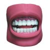 Dental Care Model (with Cheek) AR-K4 ARI
