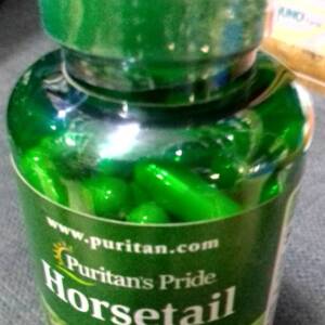 HORSETAIL 440MGX100 (P/P)