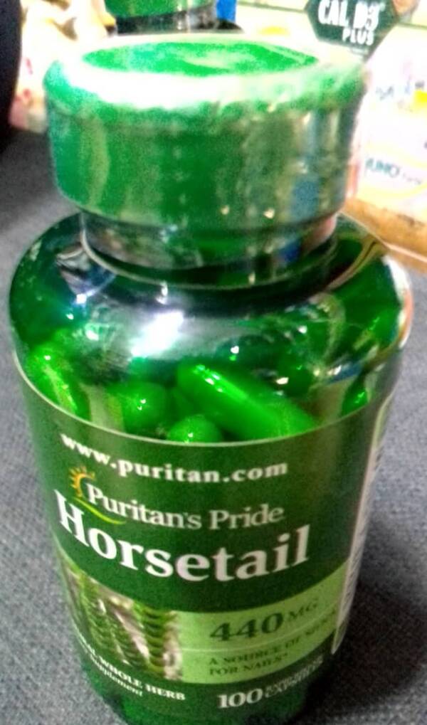HORSETAIL 440MGX100 (P/P)