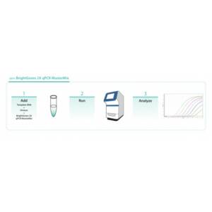 MasterMixLR BrightGreen 2X qPCR MasterMix-Low ROX