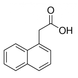 1-Naphthalene Acetic Acid