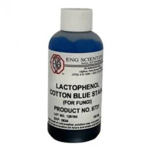 Lactophenol Cotton Blue 250Ml