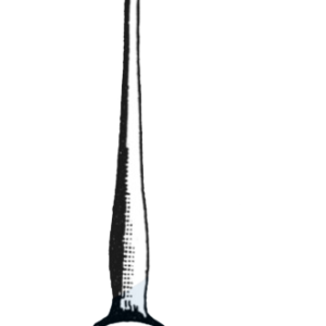 Guthrie skin Hook, Sharp, Double Prong, 1.5 mm Wide 5" (12.5 cm)