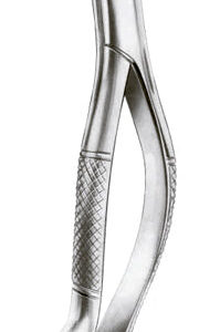 Extracting Forceps American Pattern Harris Upper Molars Right