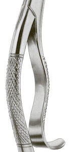 Extracting Forceps American Pattern Lower Canines And Premolars