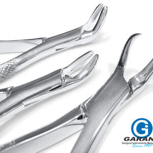 Dental Extracting Forceps Set of 3 Pcs ( # 150, # 151, # 23)