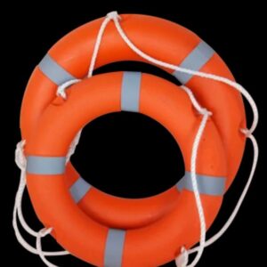 Horse Shoe Life Buoy
