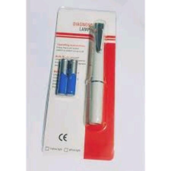 Lamp Flashlight Pen