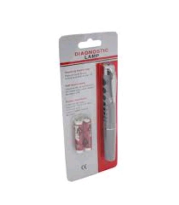 Lamp Flash Light Pen