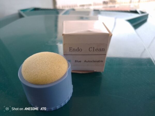 Dental Autoclavable Endo Clean