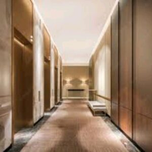 Customized Luxury Hotel Lift