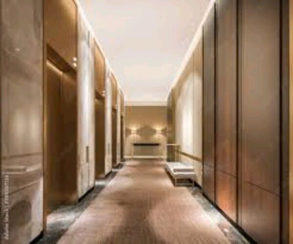 Customized Luxury Hotel Lift