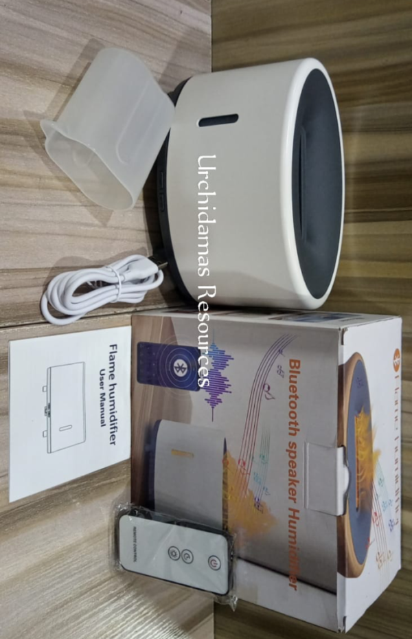 BT OVAL ARTIFICIAL FIRE HUMIDIFIER