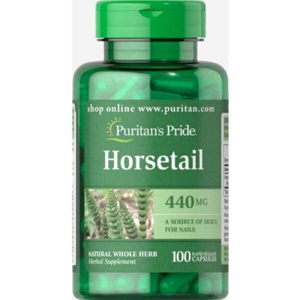 HORSETAIL