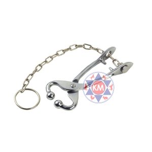 Bull Holder With Chain