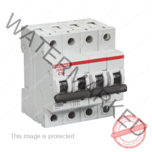 Indoasian 100amps T.P