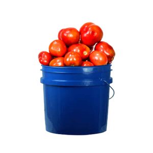 Fresh Tomatoes (Size 4)