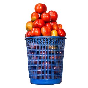 Fresh Tomatoes (Size 5)