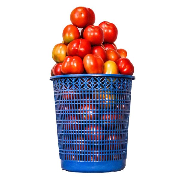 Fresh Tomatoes (Size 5)