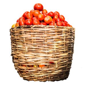 Fresh Tomatoes (Size 6)