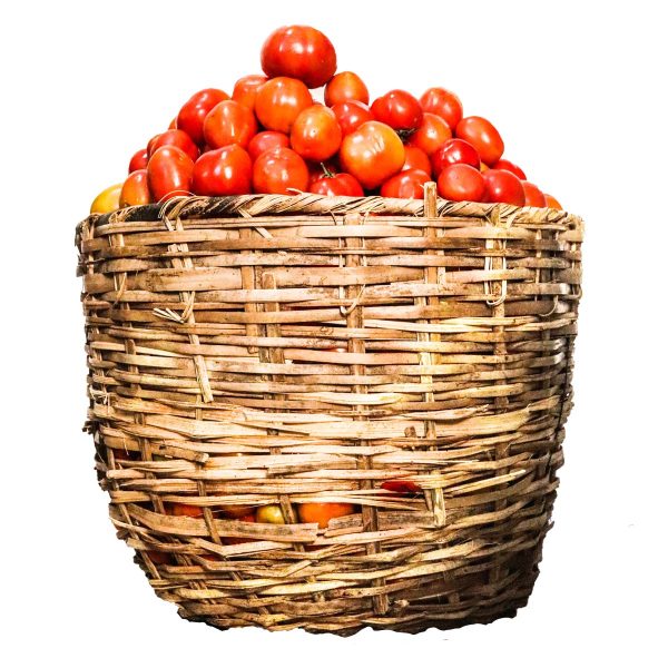 Fresh Tomatoes (Size 6)