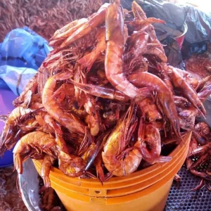 Dried Prawns