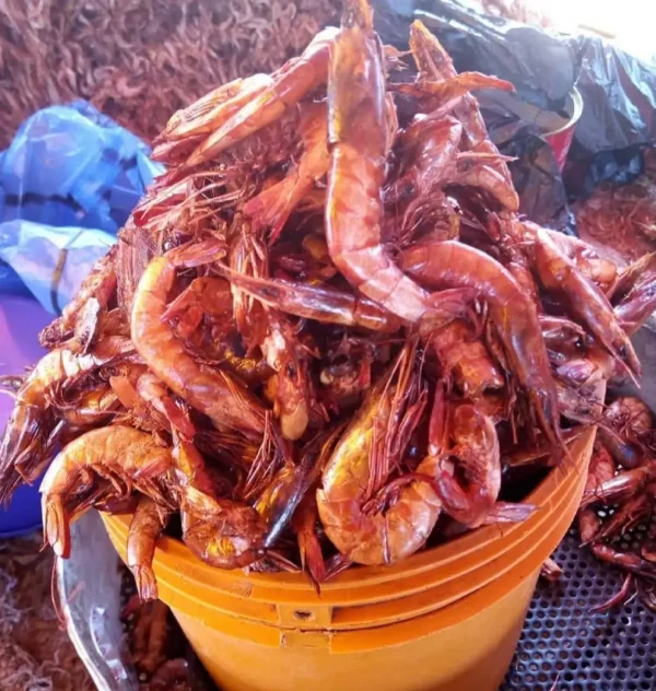 Dried Prawns