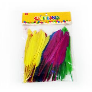 Multi-coloured Craft Feathers