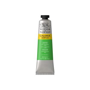 200ml Winsor & Newton Galeria Acrylic ? Permanent Green Light