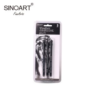 3pcs Sinoart Woodless Charcoal Pencils