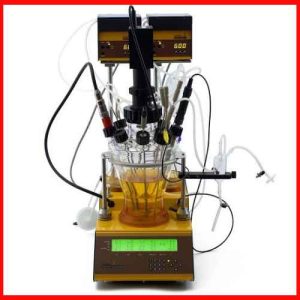 Fermenter