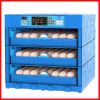 Egg Incubator