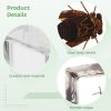 12PCS Insect in Resin Specimens, Bug Collection Paperweights, Real Bugs Preserved in Resin, Scientific Educational for Men, Women - Image 3