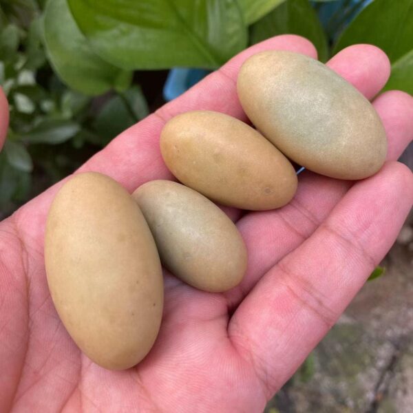 BAWHO Natural Stones Luminous Oval Stone Raw Gemstone Glow in The Dark Stone Crystal Rough Stone Specimen Minerals JIANFENYIN (Color : 4-5cm, Size : 2pcs) - Image 4