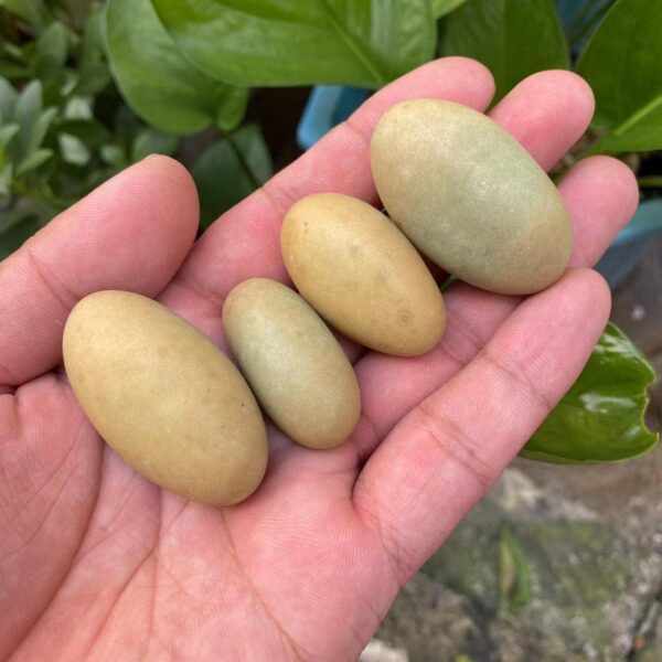 BAWHO Natural Stones Luminous Oval Stone Raw Gemstone Glow in The Dark Stone Crystal Rough Stone Specimen Minerals JIANFENYIN (Color : 4-5cm, Size : 2pcs