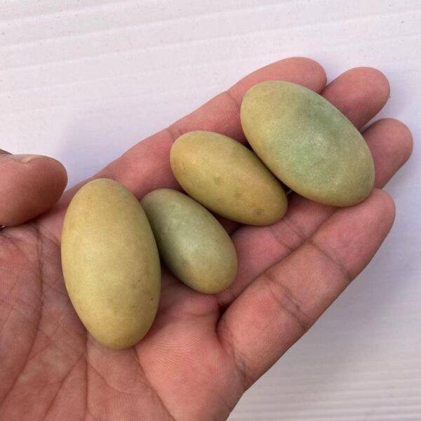 BAWHO Natural Stones Luminous Oval Stone Raw Gemstone Glow in The Dark Stone Crystal Rough Stone Specimen Minerals JIANFENYIN (Color : 4-5cm, Size : 2pcs) - Image 3
