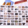 Geosciences Industries 13357 Introductory Earth Science Classroom Rocks and Minerals Collection