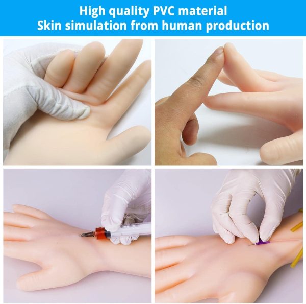 WELLiSH IV Practice Arm Infusion Model, Venipuncture Training Model Phlebotomy Practice Kit Injection Blood Drawing Model - Image 3