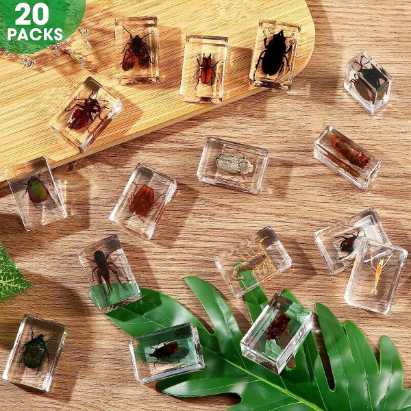 20Pcs Insect in Resin Specimen Bugs Collection Paperweights Arachnid Resin Specimen Set, Different Kind or Size Insect Specimen Bug Preserved in Resin for Teens Scientific Educational Toy, 20 Style - Image 2