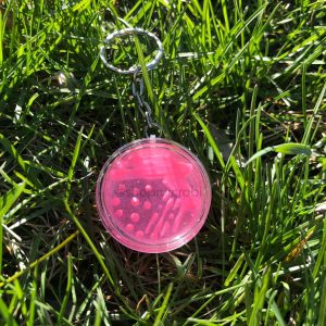E.coli MAC Petri Dish Keychain / Microbiology Agar Art / Bacteria Science Lab Gift / Science Art