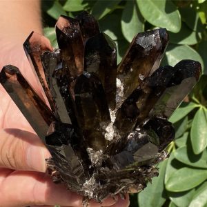 300g+ Smokey Quartz Cluster，Crystal VUG，Cluster，Mineral Specimen Reiki Healing，Crystal Decor，Crystal Gift 1PC (Cultivation in laboratory)
