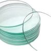 Apex Labs 100 MM Pack of 6 Laboratory Watch Glass  (10 mm)
