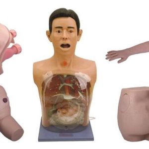 Basic Nursing Manikin A ARI
