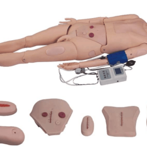 Full-functional Nursing Manikin(Blood Pressure Simulator (Blood Pressure Simulator) 2300 ARI