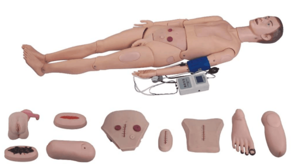Full-functional Nursing Manikin(Blood Pressure Simulator (Blood Pressure Simulator) 2300 ARI