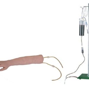 Arm Venipuncture Training Model S ARI