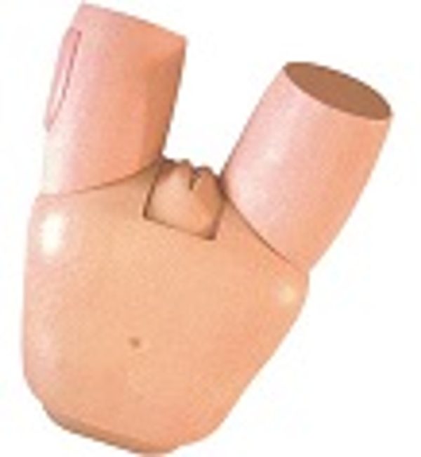 Fundus of Uterus Exam & Evaluation Model AR-31 ARI
